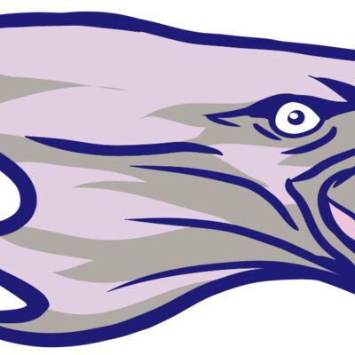 AR15 EAGLE 01 RQC Thumbnail